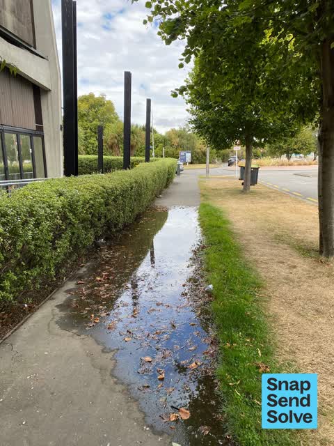 Water Leak — a report photo