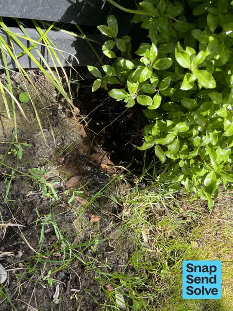 Water Leak, a report photo