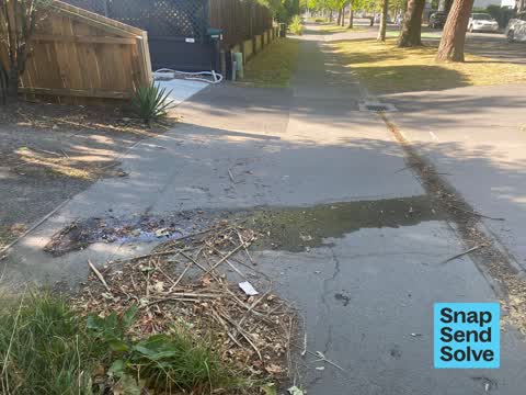 Water Leak, a report photo