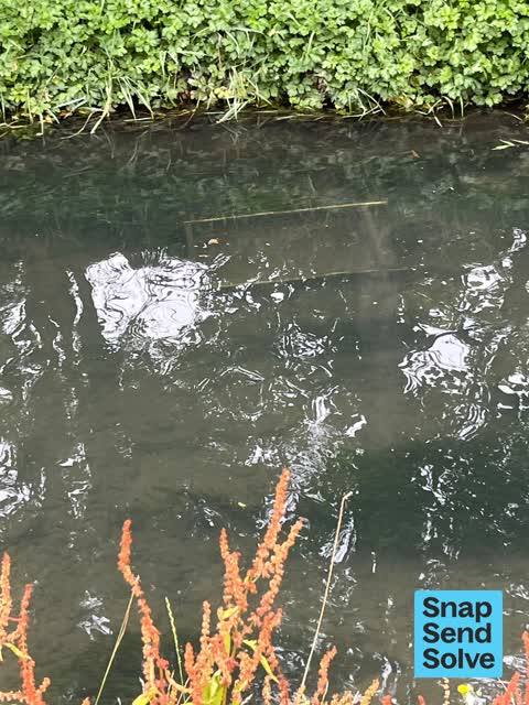 Dumped Rubbish, a report photo