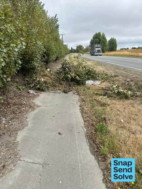 Dumped Rubbish, a report photo