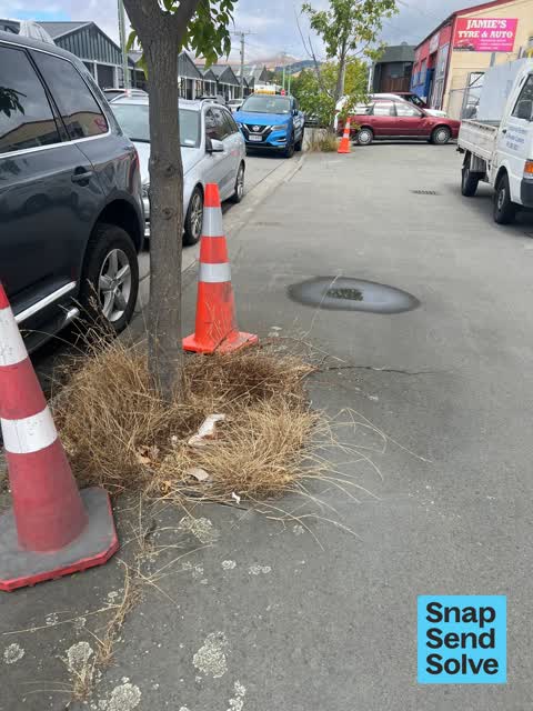 Pavement - Damaged, a report photo