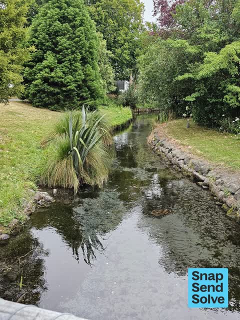 General Request, a report photo