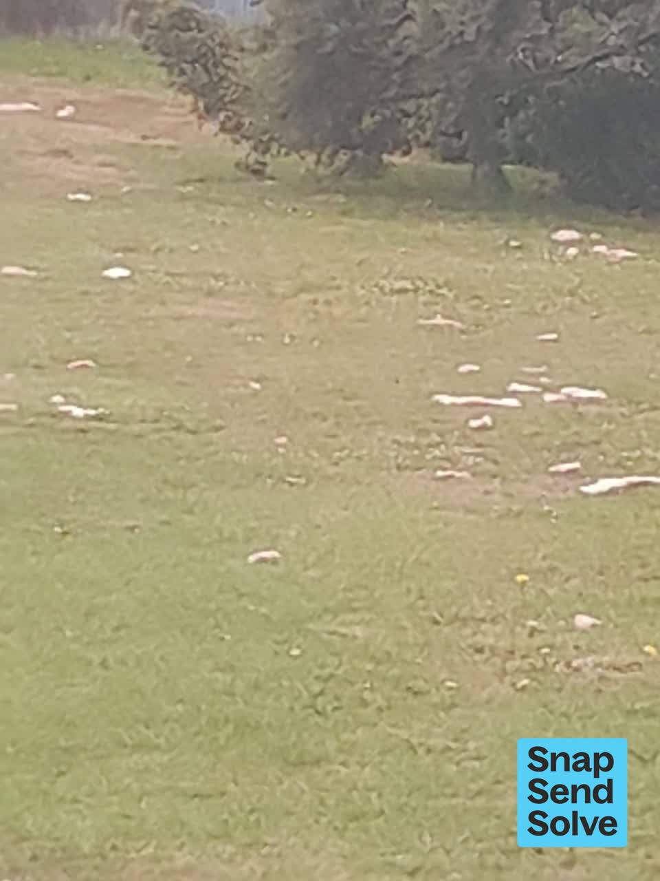 The photograph attached to this dumped rubbish report