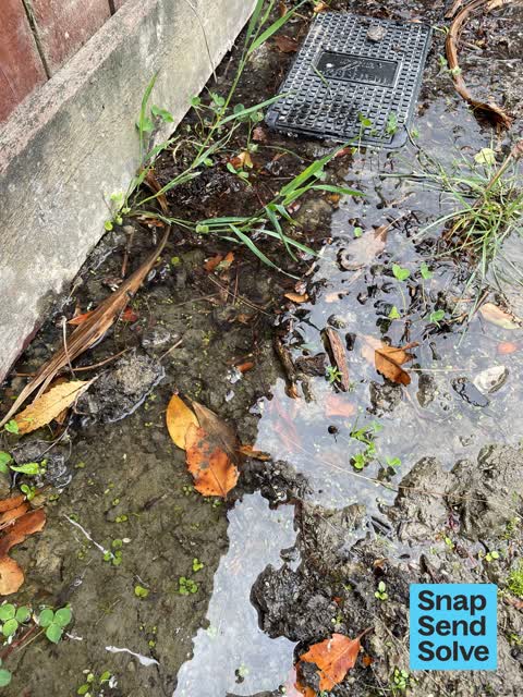 Water Leak, a report photo