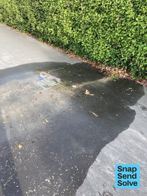 Water Leak, a report photo