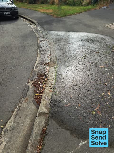 Water Leak, a report photo