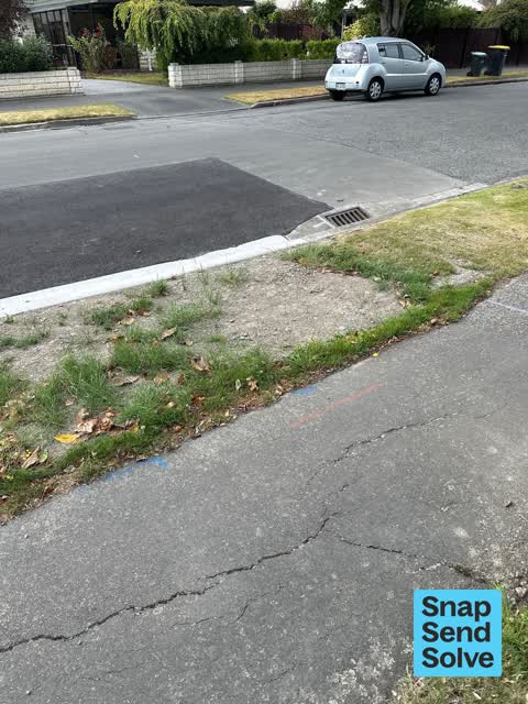 General Request, a report photo