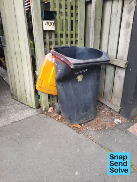 Rubbish and Bins - General, a report photo