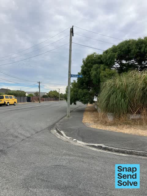 Trees - General, a report photo