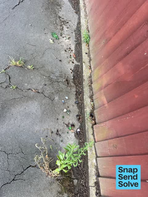 Litter, a report photo