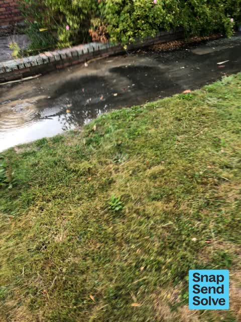 Water Leak, a report photo