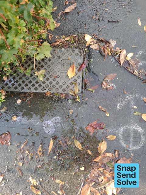 Water Leak — a report photo