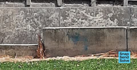 Graffiti — a report photo