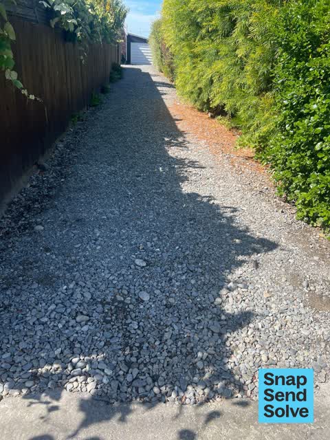 General Request, a report photo