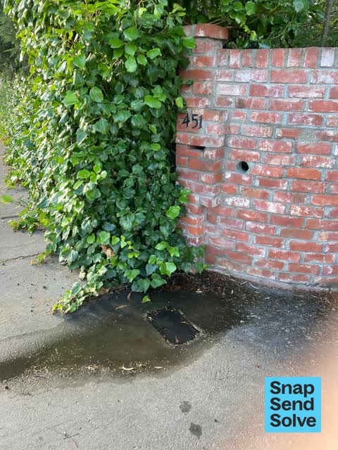 Water Leak, a report photo