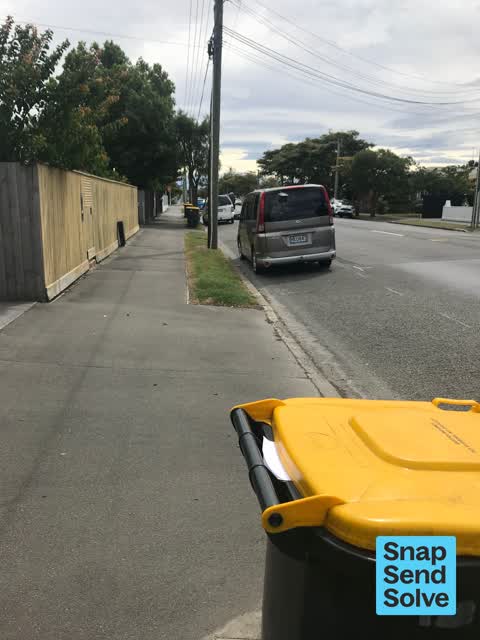 Rubbish and Bins - General, a report photo