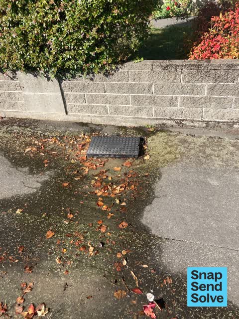 Water Leak, a report photo