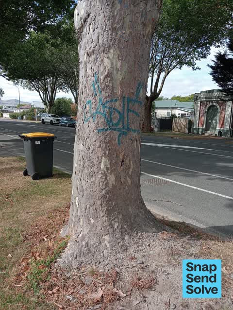 Graffiti, a report photo