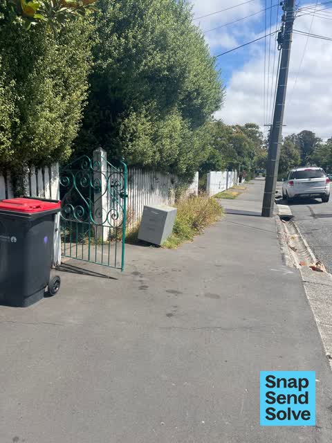 General Request, a report photo