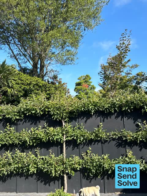 Park - General Request, a report photo