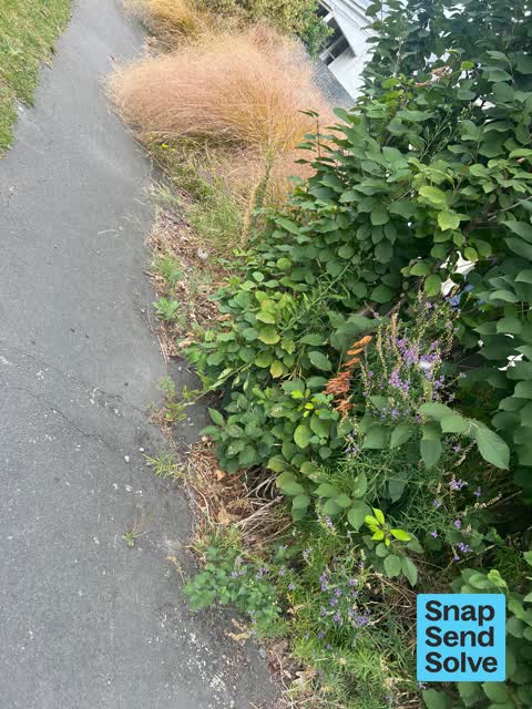 Pavement - Damaged, a report photo