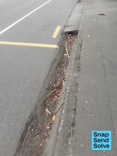 Street Cleaning, a report photo