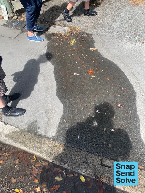 Water Leak, a report photo