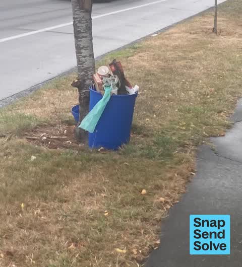 Dumped Rubbish, a report photo