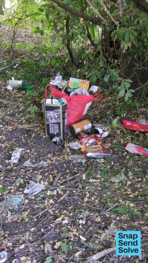Litter, a report photo