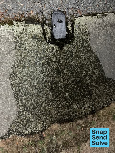Water Leak, a report photo