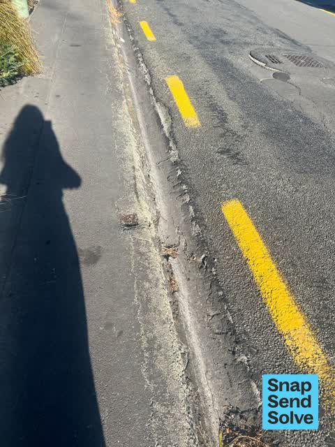 Pavement - Damaged, a report photo