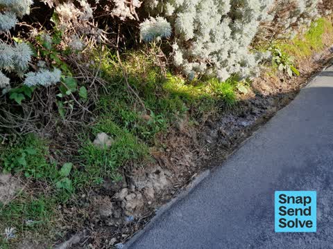 Water Leak, a report photo