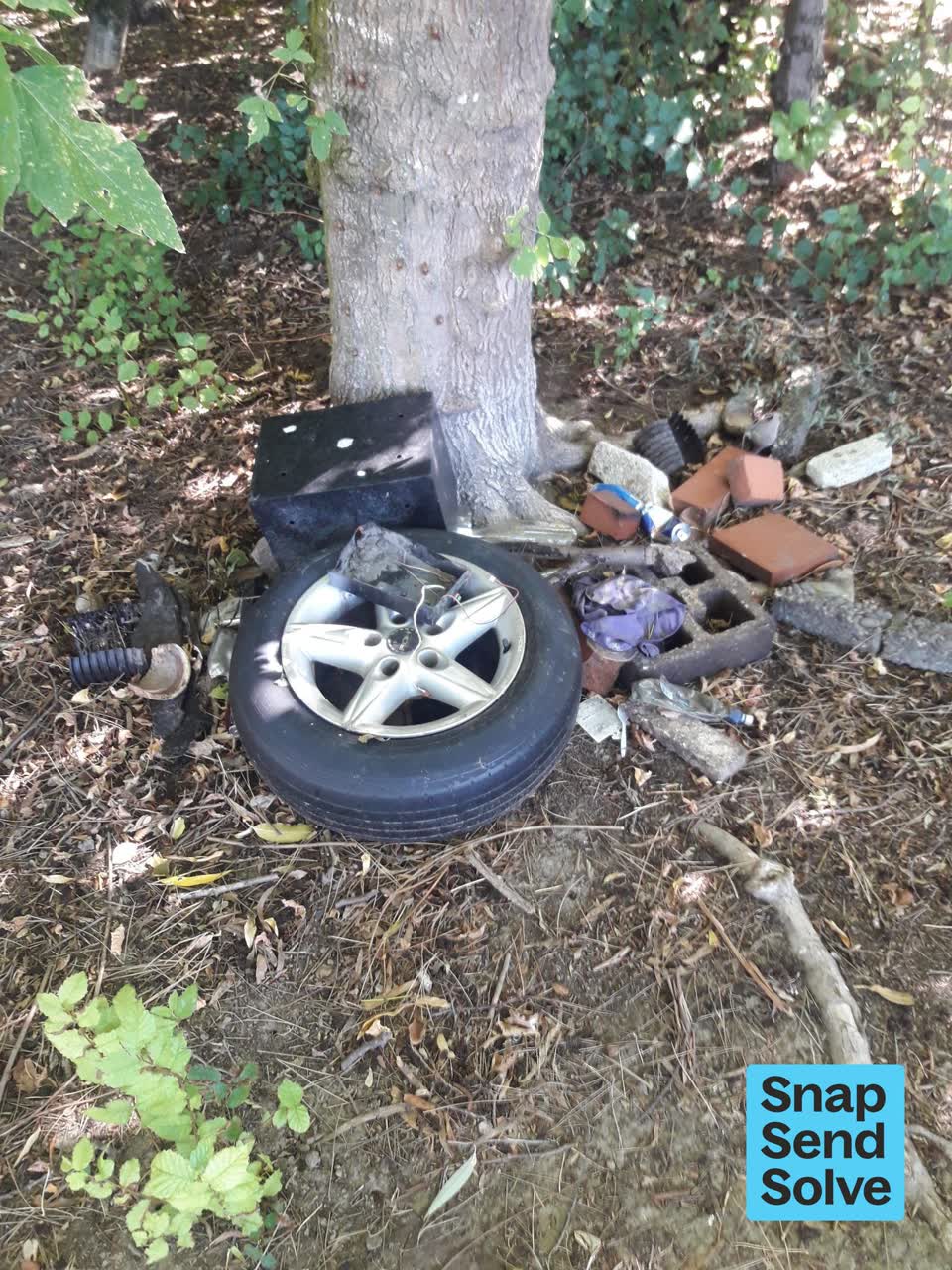 The photograph attached to this dumped rubbish report
