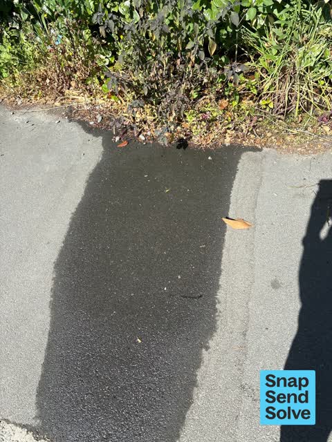 Water Leak, a report photo