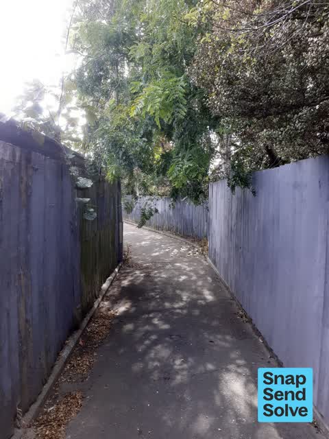 Overgrown Vegetation, a report photo