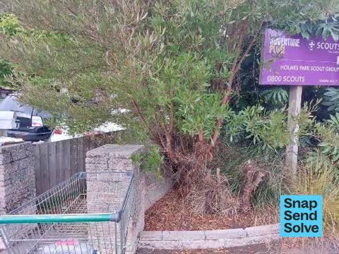 Overgrown Vegetation, a report photo