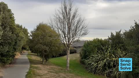 Park - General Request, a report photo