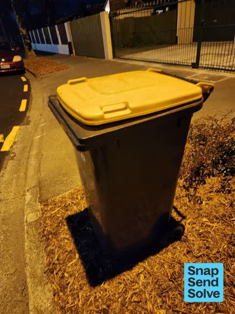 Rubbish and Bins - General, a report photo