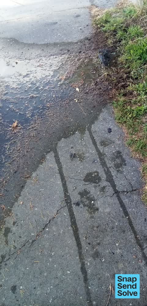 Water Leak, a report photo