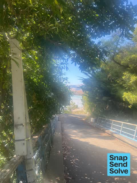 Roads - General, a report photo