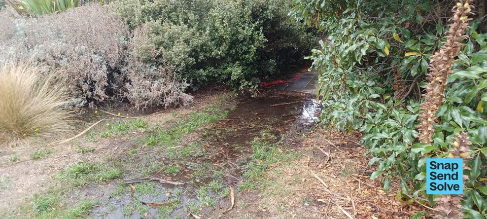 The photograph attached to this water leak report