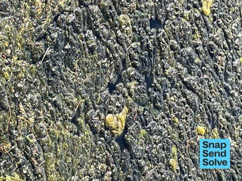 Water Pollution - Sediment, a report photo