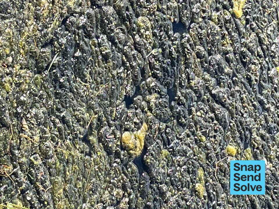 The photograph attached to this water pollution - sediment report