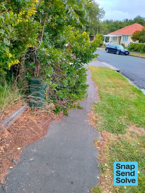 Overgrown Vegetation, a report photo