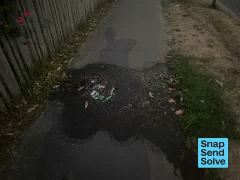 Water Leak, a report photo