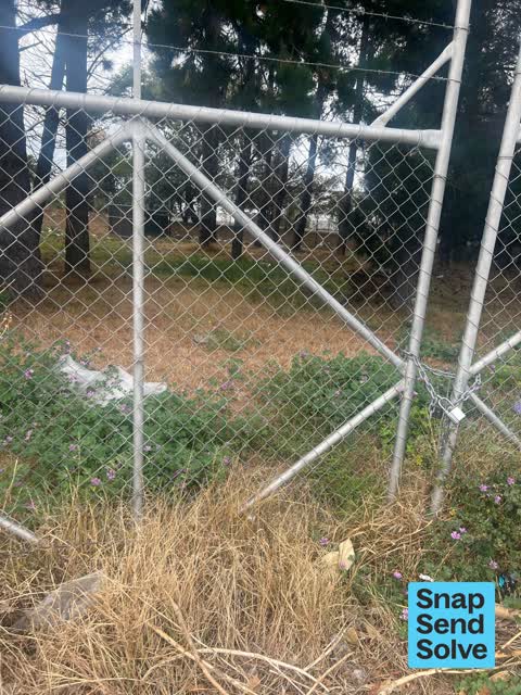 Dumped Rubbish, a report photo