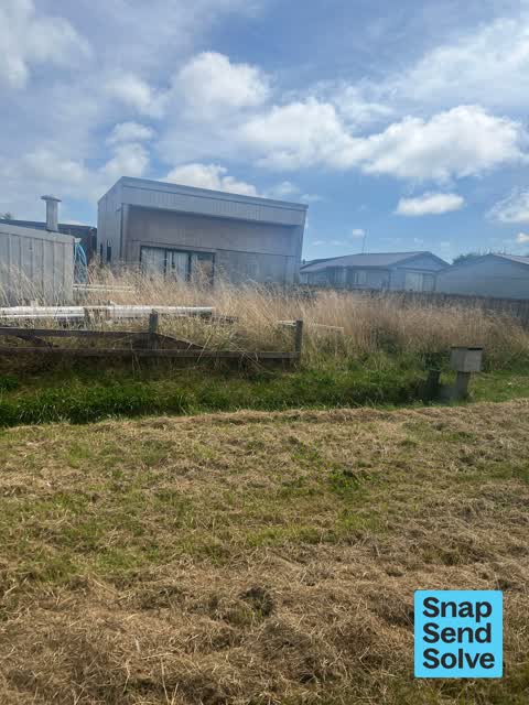 General Request, a report photo