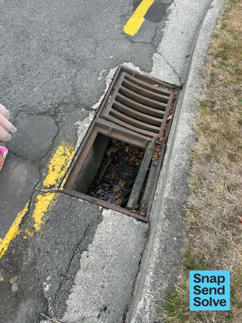 Street Gutters / Storm Water, a report photo