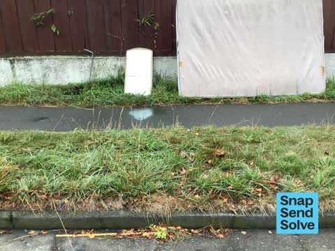 Rubbish and Bins - General, a report photo